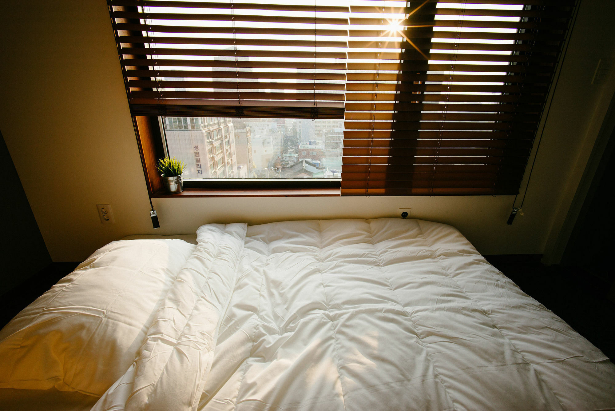 Morning Dew Guesthouse Busan Exterior foto
